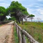 Need To Relax In Апартаменти Бібіоне