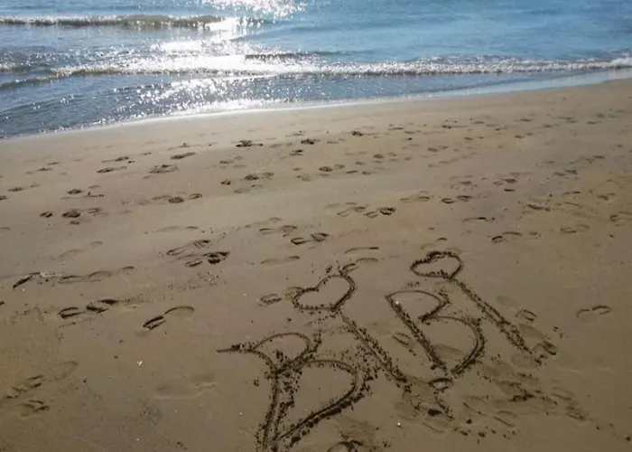 Apartman Need To Relax In *